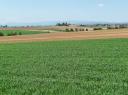 GRIESHEIM-SUR-SOUFFEL